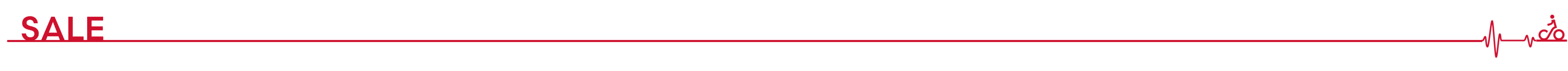 /image/data/web_2025/categorien/line sale.png